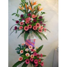 Congratulation Floral 2 Tier Stand of Bird of Paradise, Anthurium and Gerberas